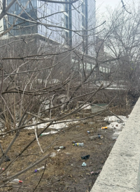 Фото Новосибирцы массово делятся фото грязного города. ОНЛАЙН 2